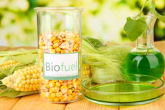 Patrick Brompton biofuel availability